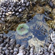 CoastCamp 106 : CoastCamp